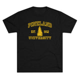 Pineland University Triblend Athletic Shirt T-Shirt Printify Tri-Blend Vintage Black S 