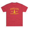 Pineland University Triblend Athletic Shirt T-Shirt Printify Tri-Blend Vintage Red S 