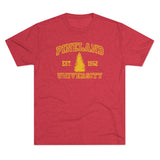 Pineland University Triblend Athletic Shirt T-Shirt Printify Tri-Blend Vintage Red S 