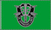 10th Special Forces Group Double-Sided Flag - 36 x 60 Home Decor Printify 36'' × 60'' 