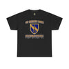 1st SFAB Insignia - Unisex Heavy Cotton Tee T-Shirt Printify Black S 