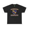 1st SFAB Insignia - Unisex Heavy Cotton Tee T-Shirt Printify Black S 