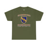 1st SFAB Insignia - Unisex Heavy Cotton Tee T-Shirt Printify Military Green S 