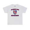 2nd SFAB Wings Insignia - Unisex Heavy Cotton Tee T-Shirt Printify Ash S 