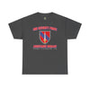 3rd SFAB Insignia - Unisex Heavy Cotton Tee T-Shirt Printify Dark Heather S 