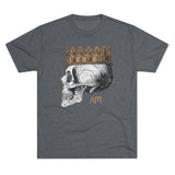 American Marauder Pirate Lord Triblend Athletic Shirt T-Shirt Printify Tri-Blend Premium Heather S 