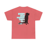 Lake Norman Humane Dog Day Out Sampler - Unisex Heavy Cotton Tee T-Shirt Printify 