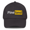 Pineland Orange and Black Hat American Marauder Dark Grey 