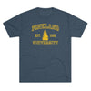 Pineland University Triblend Athletic Shirt T-Shirt Printify Tri-Blend Indigo S 