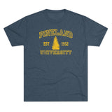 Pineland University Triblend Athletic Shirt T-Shirt Printify Tri-Blend Indigo S 