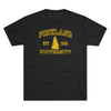Pineland University Triblend Athletic Shirt T-Shirt Printify Tri-Blend Vintage Black S 