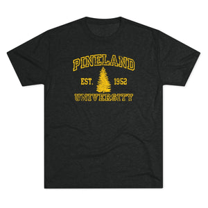 Pineland University Triblend Athletic Shirt T-Shirt Printify Tri-Blend Vintage Black S 