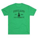 Pineland University Dark Logo Triblend Athletic Shirt T-Shirt Printify L Tri-Blend Envy 