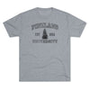 Pineland University Dark Logo Triblend Athletic Shirt T-Shirt Printify L Tri-Blend Premium Heather 