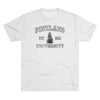 Pineland University Dark Logo Triblend Athletic Shirt T-Shirt Printify S Tri-Blend Heather White 