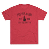 Pineland University Dark Logo Triblend Athletic Shirt T-Shirt Printify S Tri-Blend Vintage Red 