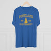Pineland University Triblend Athletic Shirt T-Shirt Printify 