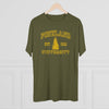 Pineland University Triblend Athletic Shirt T-Shirt Printify 