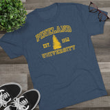 Pineland University Triblend Athletic Shirt T-Shirt Printify 