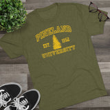 Pineland University Triblend Athletic Shirt T-Shirt Printify 