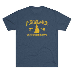 Pineland University Triblend Athletic Shirt T-Shirt Printify Tri-Blend Indigo L 