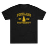 Pineland University Triblend Athletic Shirt T-Shirt Printify Tri-Blend Vintage Black S 
