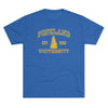 Pineland University Triblend Athletic Shirt T-Shirt Printify Tri-Blend Vintage Royal S 