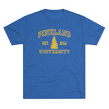 Pineland University Triblend Athletic Shirt T-Shirt Printify Tri-Blend Vintage Royal S 